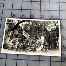 Vintage Postcard Military RPPC 15mm Gun In Action Artillery Canon 1930s 40s - $275.49 MXN