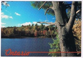 Postcard Muskoka North Branch Muskoka River Ontario 4.75&quot; x 6.75&quot; - £3.08 GBP