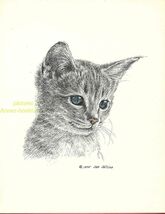 #51 GREY striped  KITTEN * CAT art print * pen &amp; ink drawing by  Jan Jel... - $12.50
