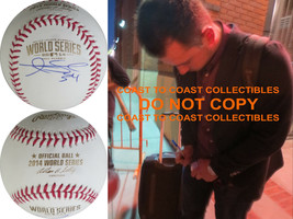 Andrew Susac San Francisco Giants signed 2014 World Series baseball COA proof - £108.98 GBP