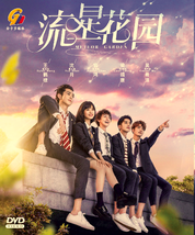 DVD Meteor Garden 流星花园 2018 Chinese Drama - English Subtitles - £40.08 GBP