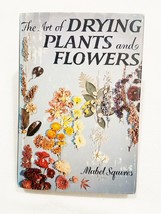 Vintage 1958 The Art of Drying Plants and Flowers By Mabel Squires HC - £7.95 GBP