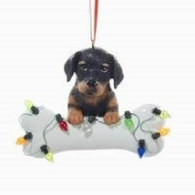 DogBone DOBERMAN w/Dog Bone Resin Christmas Ornament - £7.05 GBP