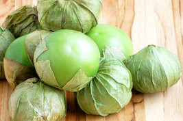 100 Seeds Green Tomatillo Mexican Husk Tomato Organic GiftFrom US  - £6.44 GBP