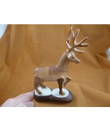 TNE-DEER-646-C) tan Buck Deer TAGUA NUT nuts palm figurine carving rut a... - $692.47 MXN