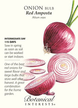 Red Amposta Onion Seeds 750Mg USA Seeds Fast Shipping - £17.95 GBP