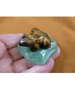 (Y-FRO-LP-709) little Brown FROG frogs LILY PAD stone gemstone CARVING f... - £13.71 GBP