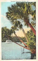 FLORIDA LEANING PALMETTOS-STEAMER TOUR BOAT-1920s POSTCARD - £10.73 GBP