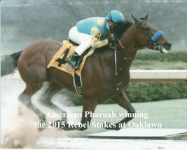 2015 - AMERICAN PHAROAH winning the Rebel Stakes at Oaklawn - 10&quot; x 8&quot; - £14.95 GBP