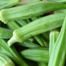 Seeds 30 Okra Perkins Long Pod Vegetable Heirloom - £5.63 GBP