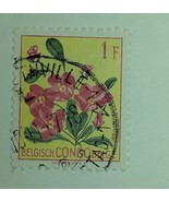 Stamp-¢   FLORAL   Belgian Congo Hibiscus Used Scott #271/A86 - €0,84 EUR