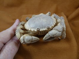 (crab-w7) little shore Crab of shed ANTLER figurine Bali detailed blue c... - £410.98 GBP