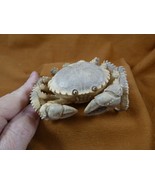 (crab-w7) little shore Crab of shed ANTLER figurine Bali detailed blue c... - £410.98 GBP
