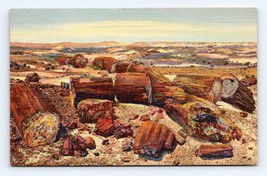 Petrified Forest Hobrook  Arizona AZ UNP inen Postcard N3 - £2.24 GBP