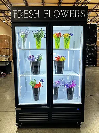 Commercial Flower Display Refrigerator Floral Fridge, Two Glass Door Flo... - $4,075.99