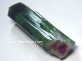 Watermelon Tourmaline Crystal, 3.6&quot; Bi-Color Tourmaline Crystal, Raw Gem... - $3,255.00