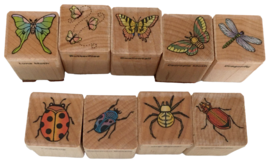 Hero Arts Rubber Stamp Lot of 9 Butterfly Insects Dragonfly Orb Spider Beetle - £6.25 GBP