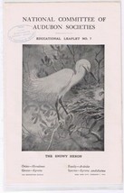 Audubon Society 1904 Educational Leaflet No 7 The Snowy Heron - $2.05