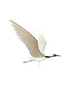 Crane Bird Flying Hanging Mobile Wood Colombia Fair Trade New - $64.30