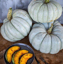 Jarrahdale Blue Pumpkin Seeds Heirloom Big Winter Squash Size: 5-100 - £1.76 GBP+