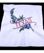 Texas Embroidered Quilted Square Frameable Art State Needlepoint Vintage - €15,71 EUR
