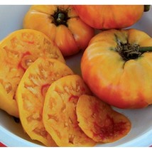 USA Seller Gold Medal Tomato Seeds Fast Shipping - £10.09 GBP