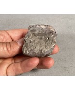 Fossil Rock - 1.5x1.25x1 3/8” - $185.23 MXN