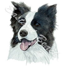 Border Collie High Quality Printed Vinyl Decal Wall Window Car Sticker - £5.58 GBP+