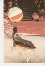 Pocket Calendar Russia USSR 1989 Soviet CIRCUS Seal with ball on the circus ring - £3.14 GBP