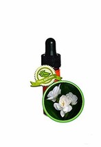 Jasmine Absolute Oil - 3.7ml (1/8oz, Drum) - 100% PURE Jasminum Sambac - £31.32 GBP