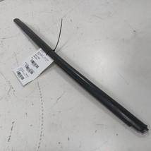 Ford Ecosport Door Glass Window Weather Strip Trim Rear Left Driver Back... - $31.94