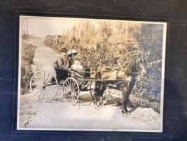 Antique Sepia Tone family Horse Drawn 4 Wheel Carriage man woman infant baby - £48.23 GBP