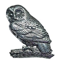 Tawny Owl Pin Badge Brooch Nature Pewter Badge Transformation Hope Lapel Unisex - £6.60 GBP