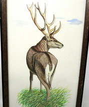 Stag Deer Water Color Painting Wood Frame 12&quot; x 7&quot; Dietershagen Germany Vintage - £133.20 GBP