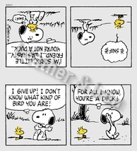 New Snoopy and Woodstock Comic Strip Design Vinyl Checkbook Cover - $8.75