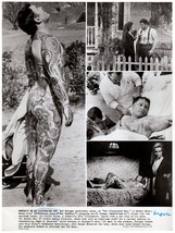 *The Illustrated Man (&#39;69) Rod Steiger Fully Naked &amp; Tattooed Bts + Claire Bloom - £75.93 GBP