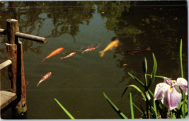 Koi In The Japanese Garden At Portland Oregon Postcard - £4.12 GBP