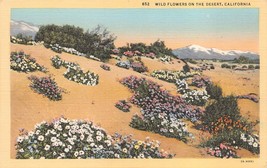 Antique Postcard  Wild Flowers on the Desert, California - £2.86 GBP