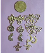 12 Piece Mixed Charm Lot Tibetan Silver Moth, Hummingbird, Bugs, Dragons - $9.50