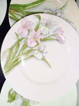 Heinrich H &amp; Co Selb Ba 6 floral salad plates, 6 different motif, 8 1/2&quot; diam - £98.90 GBP