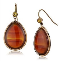 TK2575 - IP Coffee light Stainless Steel Earrings with Semi-Precious Aga... - $42.99