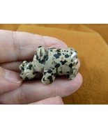 Y-RHI-574 spotted white Howlite RHINO rhinoceros gemstone FIGURINE love ... - €16,23 EUR