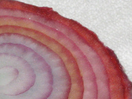 Are Omanian Rainbow Onion 50 Seeds Sweetest Healthful Free Comb. Sh - £6.27 GBP