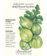 3 grams Baby Round Zucchini Summer Squash Seeds - $15.96