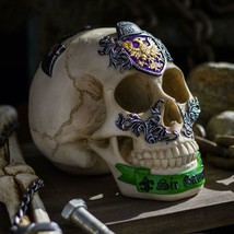 Ebros Knights of The Round Table King Arthur Skulls Sir Gawain Skull Fig... - £23.22 GBP
