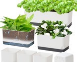 Rectangular Herb Window Boxes Planters Indoor Outdoor With Drainage And ... - $37.93