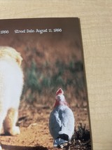 Item image 15