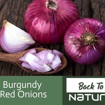 Burgundy Red Onion Seeds Organic Onion Seeds Onion Seeds Onions Fast Ship Fresh  - $8.49