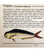 Dolphin Fish 1939 Salt Water Fish Gordon Ertz Color Plate Print Antique ... - $235.45 MXN