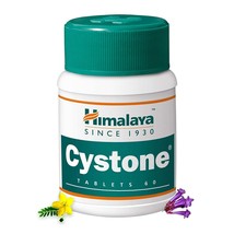 Cystone Himalaya Exp. 9/2026 Select Pack 60 Tablets Care Kidney Stone - £12.77 GBP+